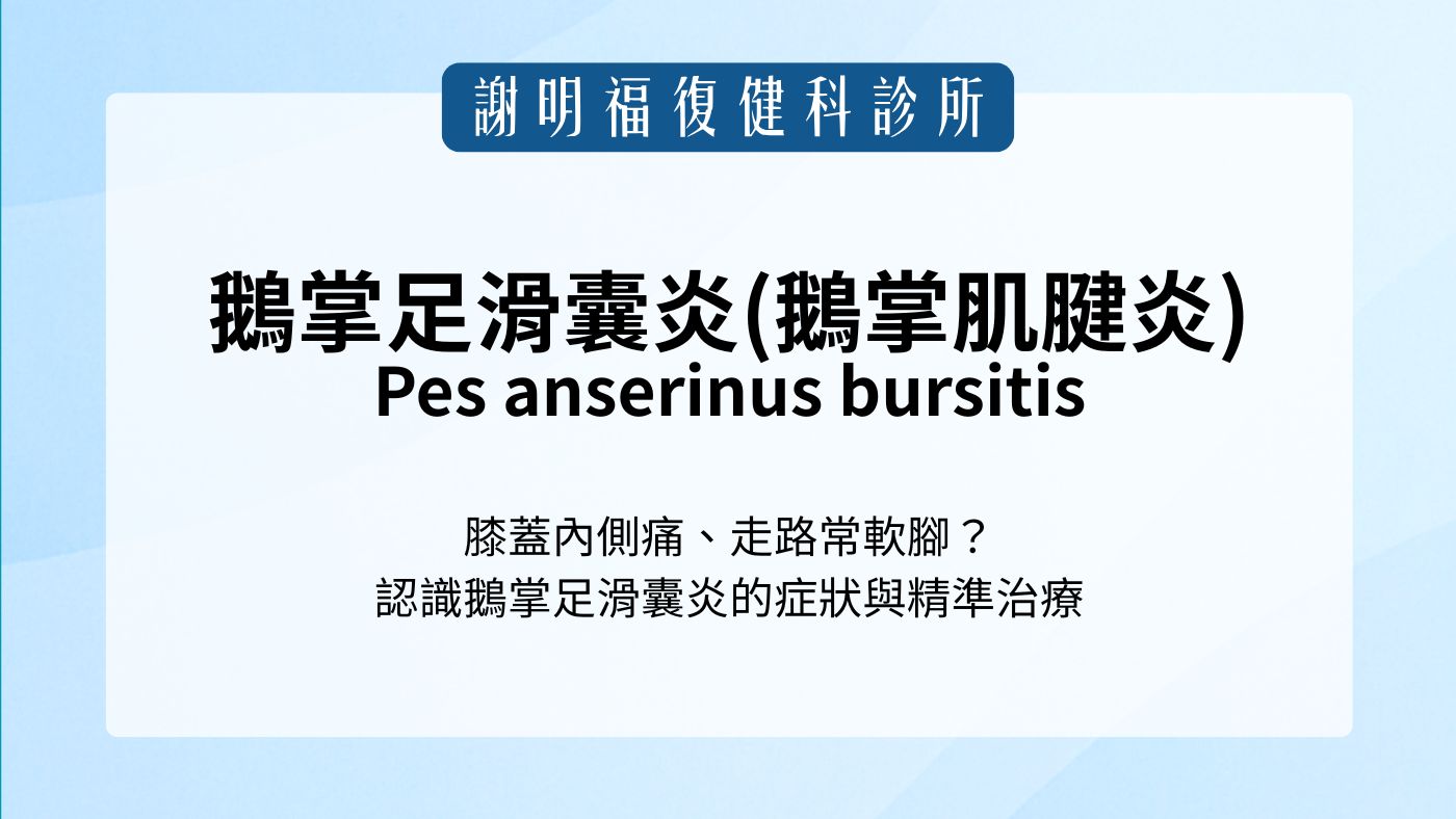 膝蓋內側痛、走路常軟腳？認識「鵝掌足滑囊炎」(鵝掌肌腱炎) 的症狀與精準治療｜謝明福復健科
